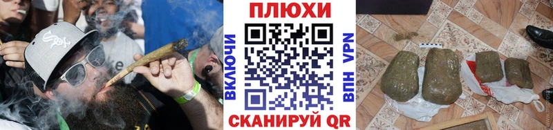Купить Жуковка ГАШИШ VHQ