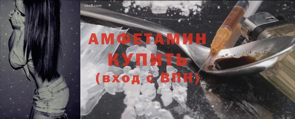 прущие грибы Куйбышев