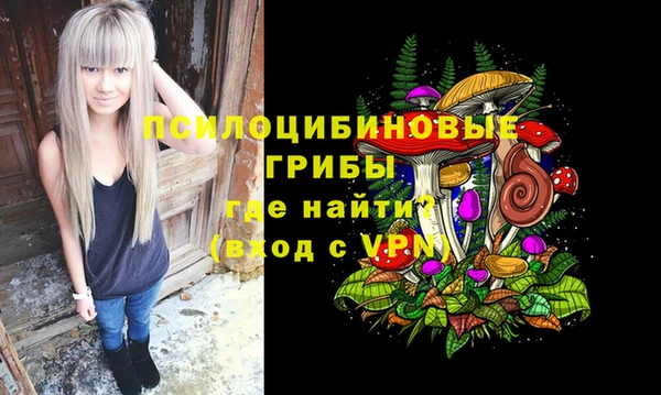spice Кулебаки