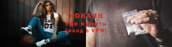 прущие грибы Куйбышев
