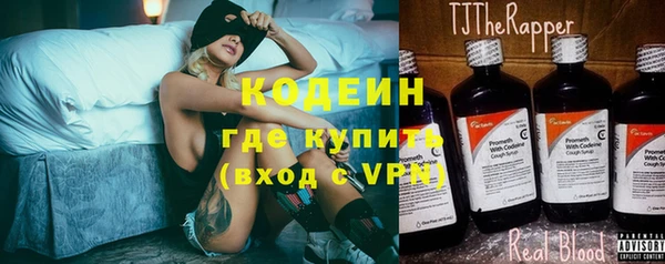 прущие грибы Куйбышев