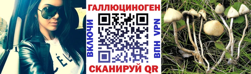 Купить закладки  Жуковка  Галлюциногенные грибы мухоморы 